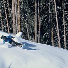 Photo: Fredrik Schenholm. Rider: Pontus Andersson.