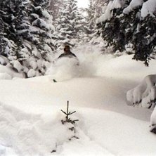 Photo: Henrik Johansson. Rider: Rasmus Lundin.
