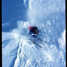 Photo: Rickard Kilstr&ouml;m. Rider: Scott Staut.