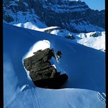 Photo: Rickard Kilstr&ouml;m. Rider: Scott Stout.