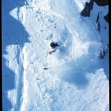 Photo: Rickard Kilstr&ouml;m. Rider: Scott Stout.
