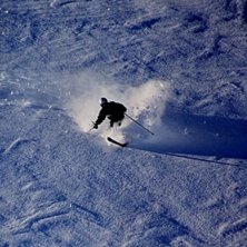 Photo: Jesper Andersson. Rider: Robert Bergkvist.