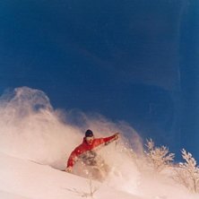 Photo: Eli T&oslash;rud. Rider: Snorre Magnus Mossing.