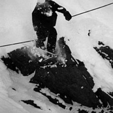 Rider: Stefan Johansson.