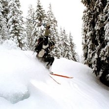 Photo: Kristian Helzel. Rider: Stefan Kvarnback.