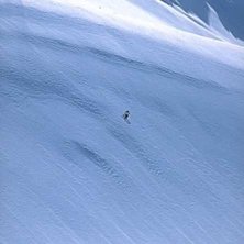 Photo: Alexander Klun. Rider: Sverre Liljeqvist.