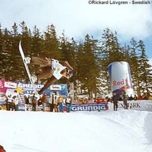 Photo: Rickard L&ouml;vgren. Rider: Ted Persson.