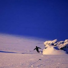 Photo: Ketil Isaksen. Rider: Thomas Aaserud.