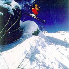 Photo: Ola Andersson. Rider: Thomas Hellstr&ouml;m.