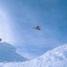 Photo: Magnus Johansson. Rider: Tobben Johansson.