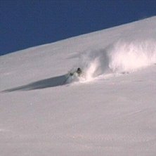 Photo: Rolf Petersen. Rider: Tomas Lollike.