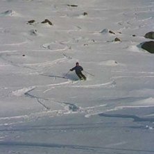 Photo: Greger. Rider: Ulrika Nilsson.