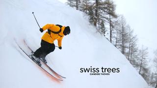 Candide Thovex - Swiss trees Candide Thovex - Swiss trees