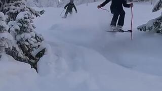 20cm powder 20cm powder